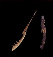 Crescent Bone Layer Image