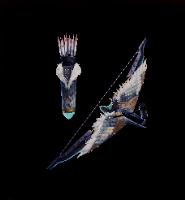 Tobi-Kadachi Layer Image
