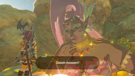 A Gift for the Great Fairy reward 1