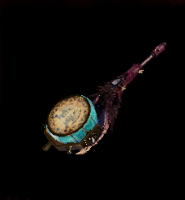 Anjanath Layer Image