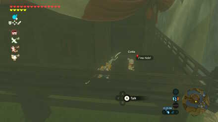 Cottla Hide-and-seek