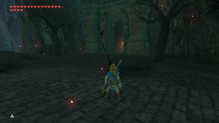 BOTW - EX Royal Guard Rumors Guard Chambers Location