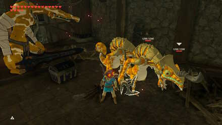 BOTW - EX Royal Guard Rumors EX Chest