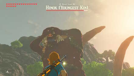 BOTW - Hinox Eye Shot
