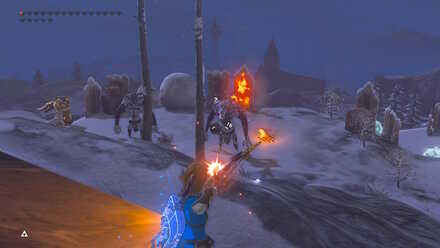 BOTW - EX The Champion