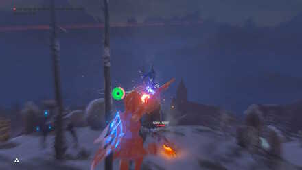 BOTW - EX The Champion