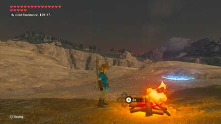 BOTW - EX Champion Revali