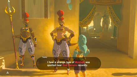 BOTW - EX Champion Urbosa
