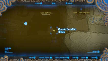 BOTW - EX Champion Urbosa