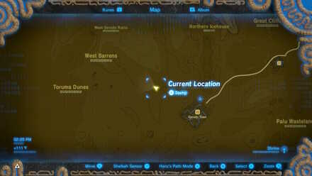 BOTW - EX Champion Urbosa