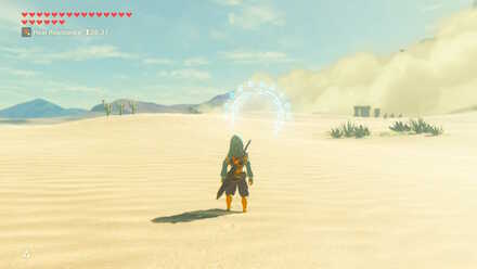 BOTW - EX Champion Urbosa