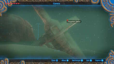 Taking a picture of the sword