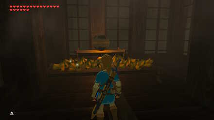 BOTW - EX Champion Urbosa