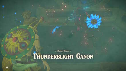 BOTW - EX Champion Urbosa