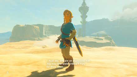 BOTW - EX Champion Urbosa