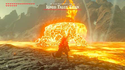 BOTW - EX Champion Daruk