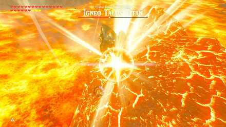 BOTW - EX Champion Daruk