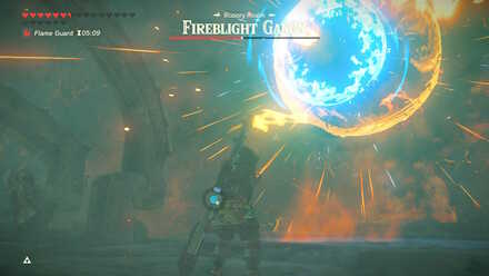 BOTW - EX Champion Daruk