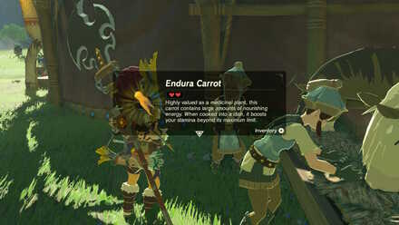 The Horseback Hoodlums reward 1