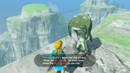 BOTW - EX Champion Mipha