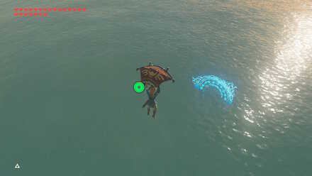 BOTW - EX Champion Mipha