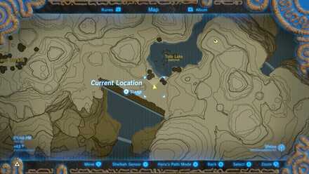 BOTW - EX Champion Mipha