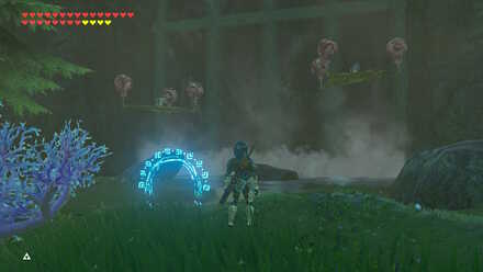 BOTW - EX Champion Mipha