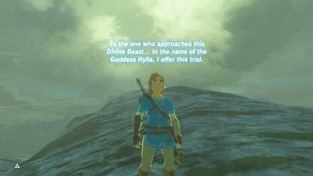 BOTW - EX Champion Mipha