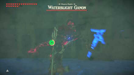 BOTW - EX Champion Mipha