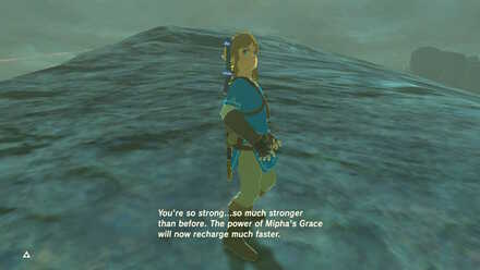 BOTW - EX Champion Mipha