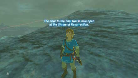 BOTW - EX Champion Mipha