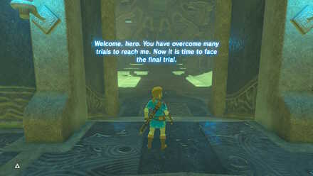 BOTW - EX Champion