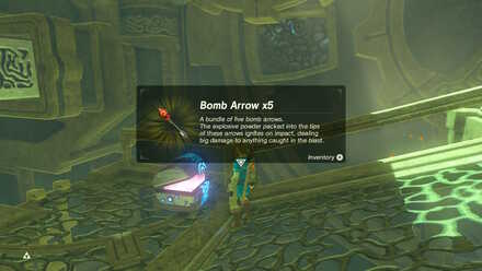 BOTW - Divine Beast Tamer