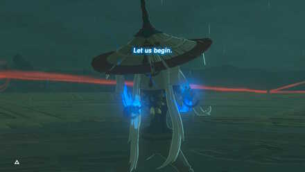 BOTW - Divine Beast Tamer