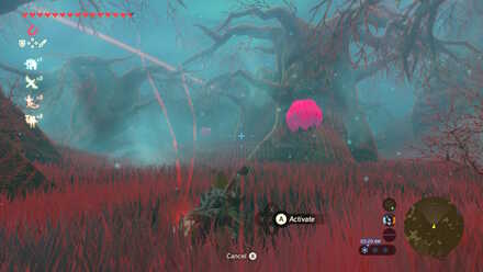 Kuhn Sidajj Shrine Trial