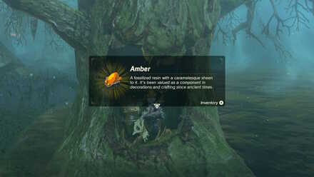 Trial of Second Sight reward 1