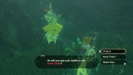 The Korok Trials walkthrough