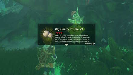 The Korok Trials reward 1