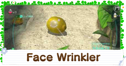 How to Get the Face Wrinkler