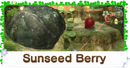 How to Get the Sunseed Berry