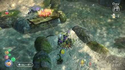 Split into two groups on either sides of the bridge.jpg