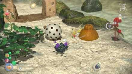 Pick up the nearby fruit while here.jpg