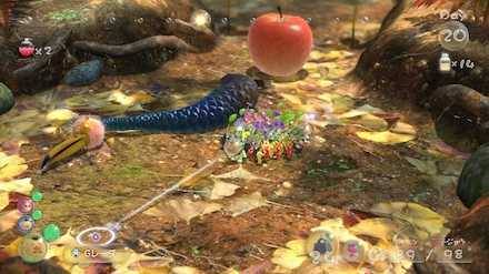 Recover the fruit dropped if you have time.jpg