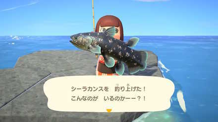 mystery tour island animal crossing ACNH - Coelacanth on a Sunny Day