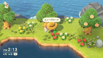mystery tour island animal crossing ACNH - A resident comes across furniture in a Mystery Island