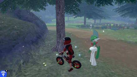 Virizion Old Cemetery 1.jpg