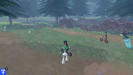 Virizion Old Cemetery 3.jpg