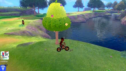 Terrakion Ballimere Lake 26.jpg