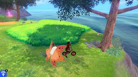 Terrakion Ballimere Lake 18.jpg