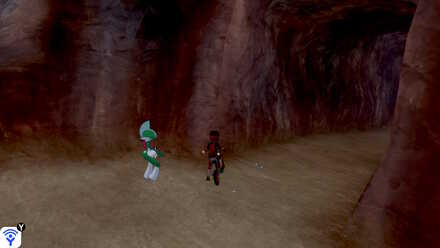 Cobalion Roaring-Sea Caves 23.jpg